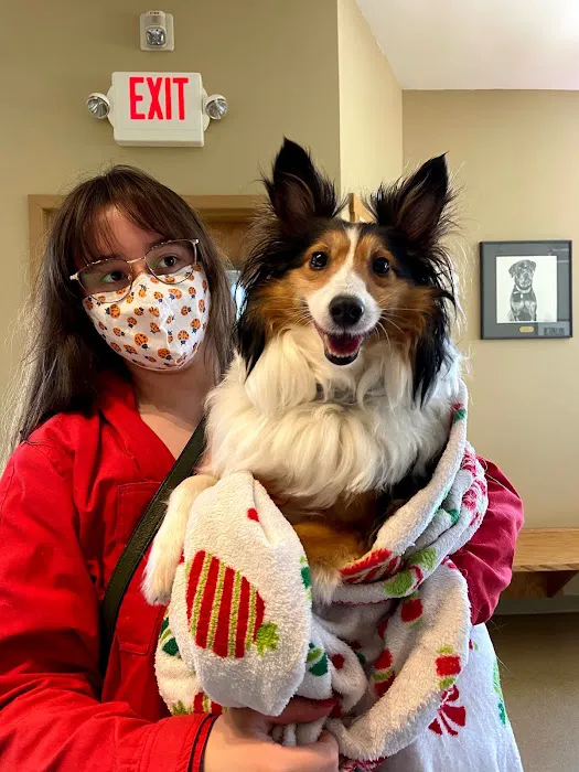 Westside Animal Hospital 4