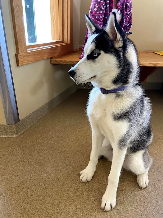 Westside Animal Hospital 10