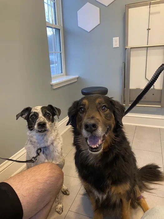 North Yarmouth Veterinary Hospital 1