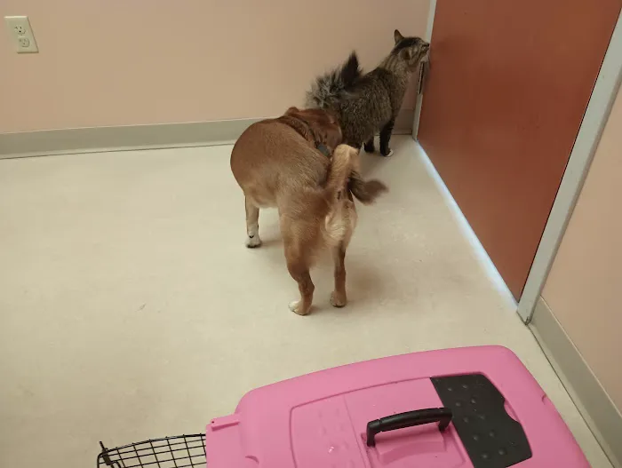Cumberland Animal Clinic 1