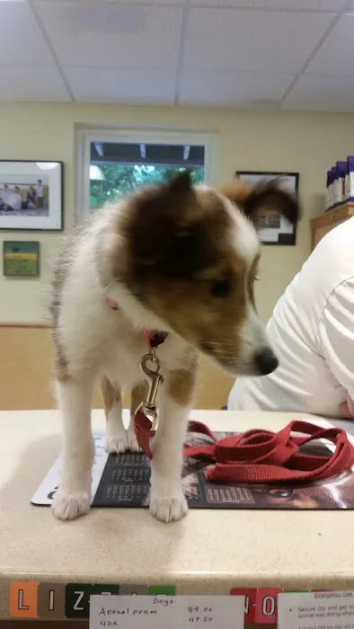 Pownal Veterinary Hospital 6