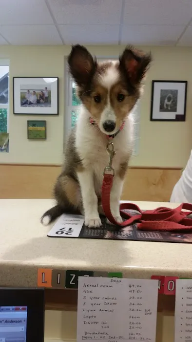 Pownal Veterinary Hospital 5
