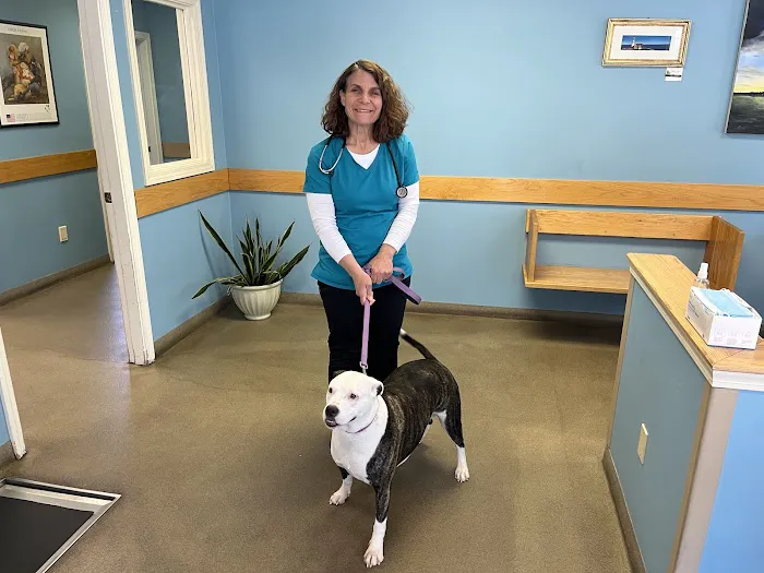 North Deering Veterinary Hospital 3