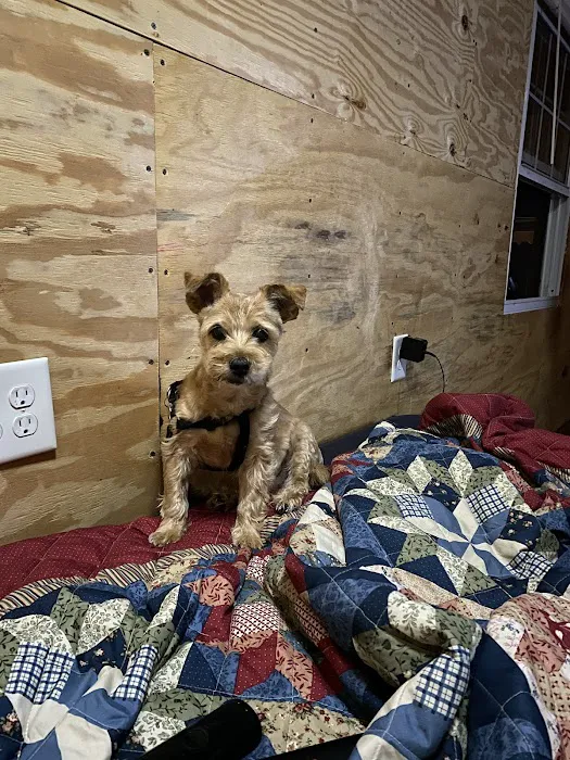 Oxford Hills Veterinary Hospital 9