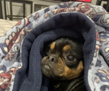 Post Road Veterinary Clinic