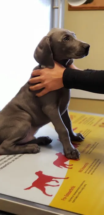 Post Road Veterinary Clinic 5