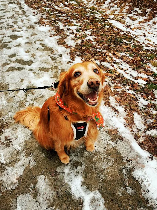 Lamoille Valley Veterinary Services 6