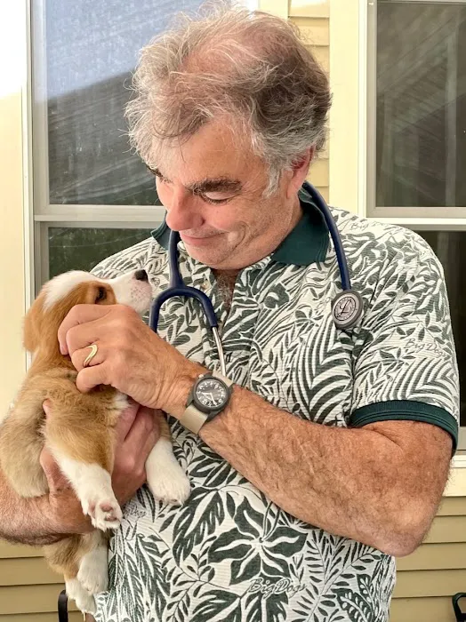 Stowe Veterinary Clinic 7