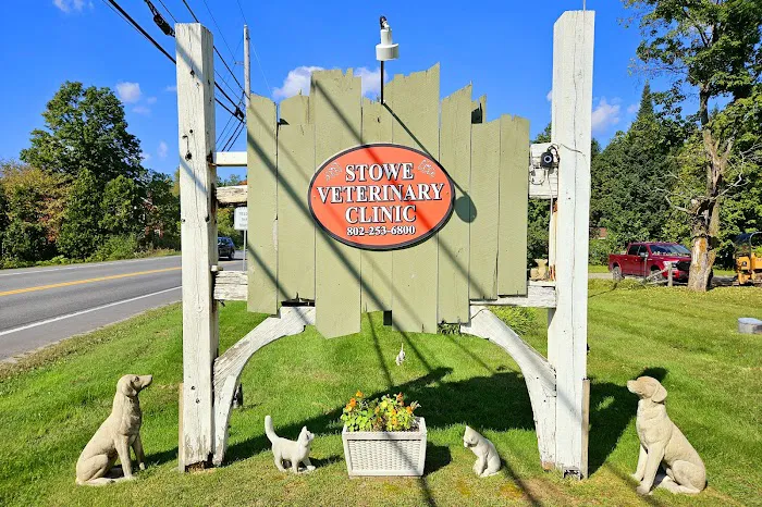 Stowe Veterinary Clinic 5
