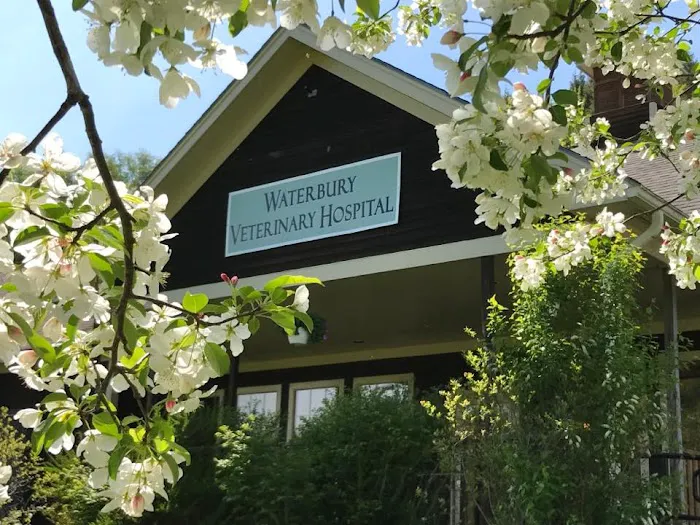Waterbury Veterinary Hospital 8