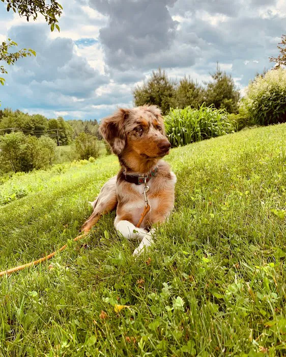 Waterbury Veterinary Hospital 6