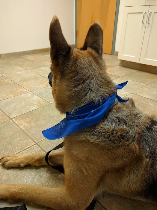 Animal Hospital of Hinesburg 4