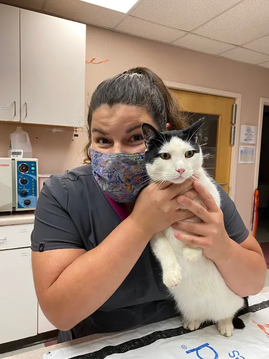 Ark Veterinary Hospital 6