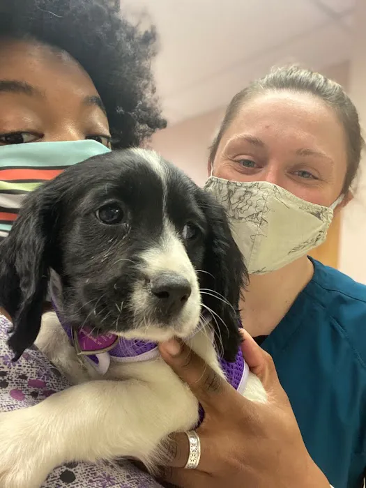 Ark Veterinary Hospital 1