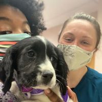 Ark Veterinary Hospital ico