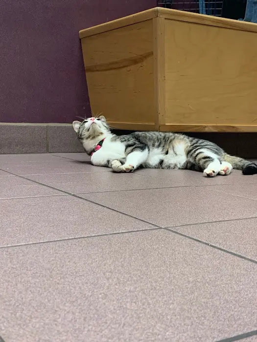 Ark Veterinary Hospital 4