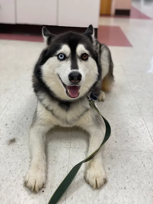 Ark Veterinary Hospital 2