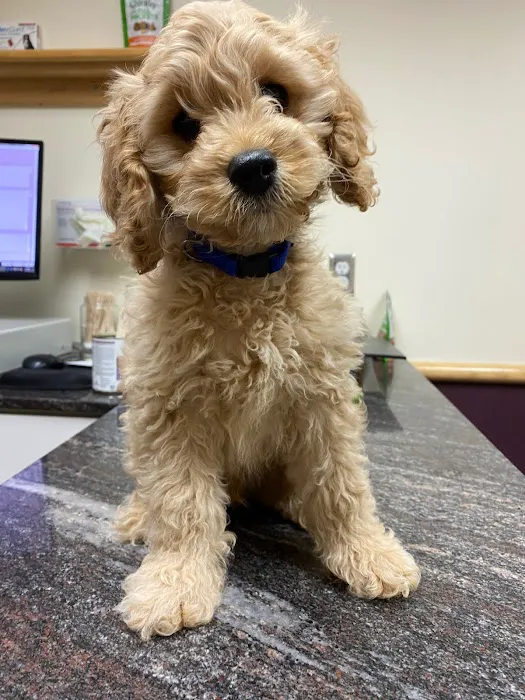 Ark Veterinary Hospital 8