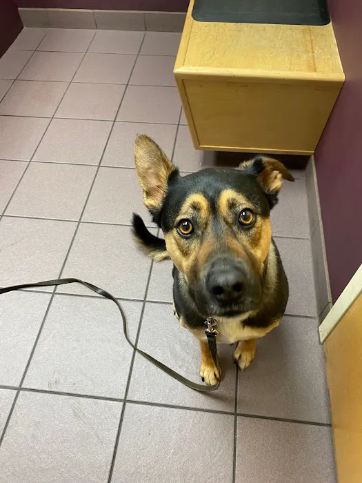Ark Veterinary Hospital 10