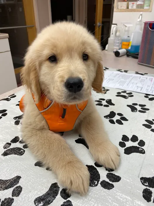 Ark Veterinary Hospital 9