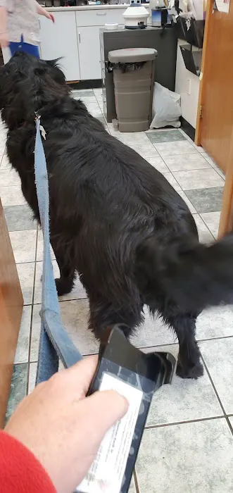 Adirondack Veterinary Hospital 1