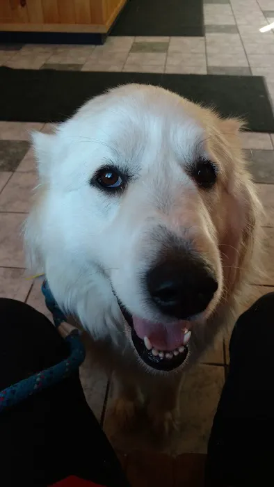 Adirondack Veterinary Hospital 4