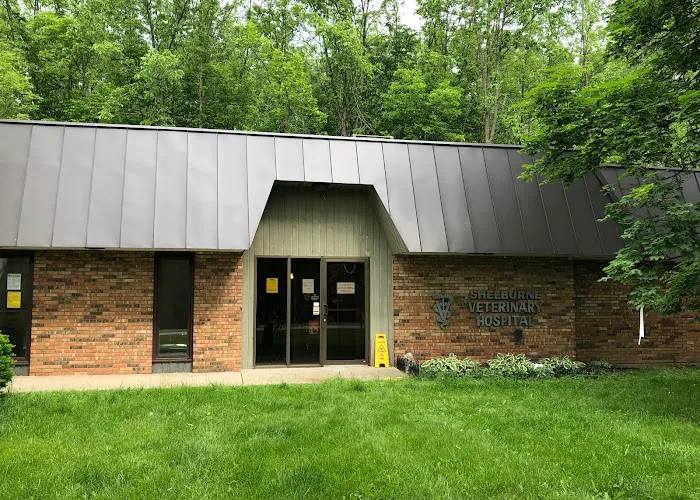 Shelburne Veterinary Hospital 9