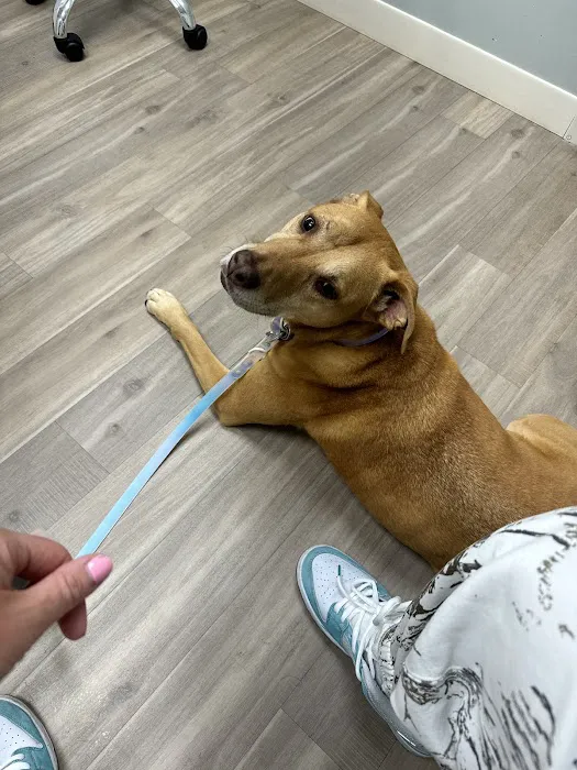 Orchard Veterinary Hospital 2