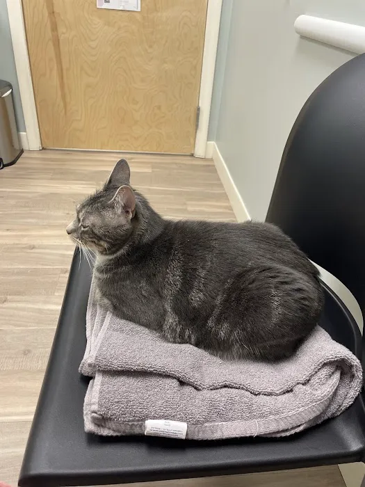 Orchard Veterinary Hospital 6