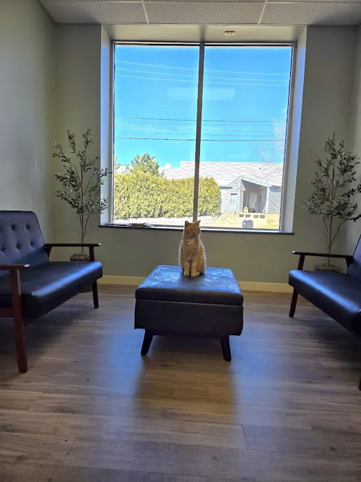 Orchard Veterinary Hospital 10
