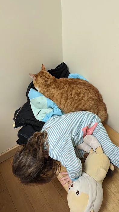 Orchard Veterinary Hospital 3