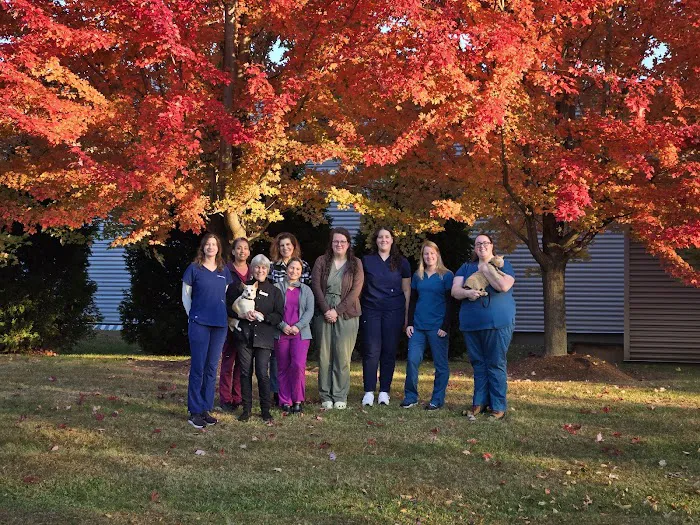 Orchard Veterinary Hospital 8