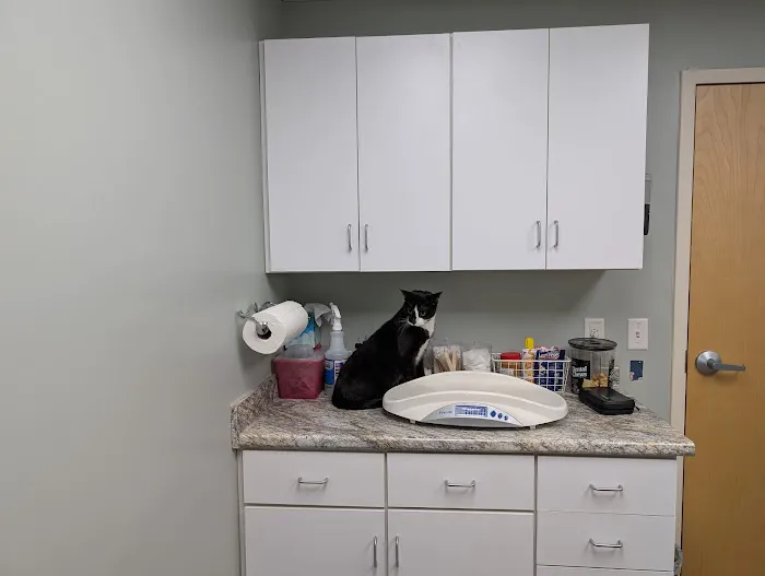 Orchard Veterinary Hospital 1