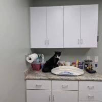 Orchard Veterinary Hospital ico