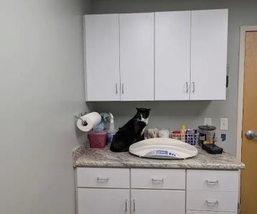 Orchard Veterinary Hospital