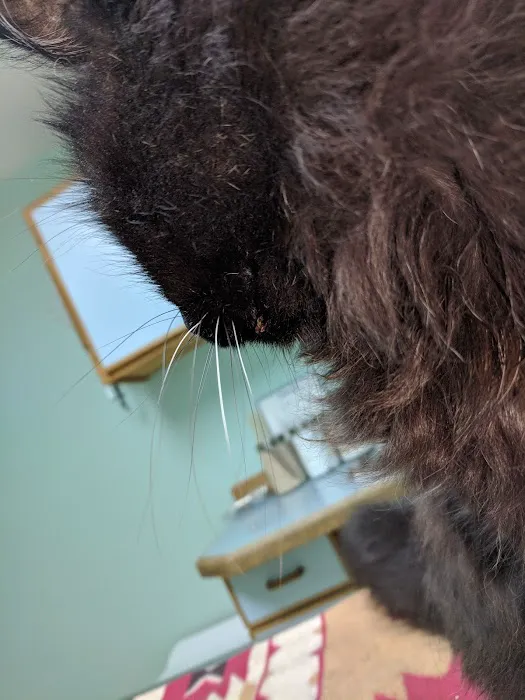 Richmond Animal Hospital 8