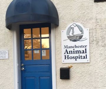Manchester Animal Hospital