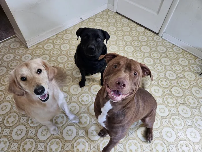 Northgate Animal Hospital 7