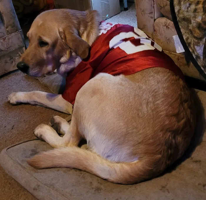 Northgate Animal Hospital 1