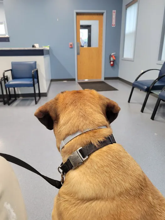 Northgate Animal Hospital 4