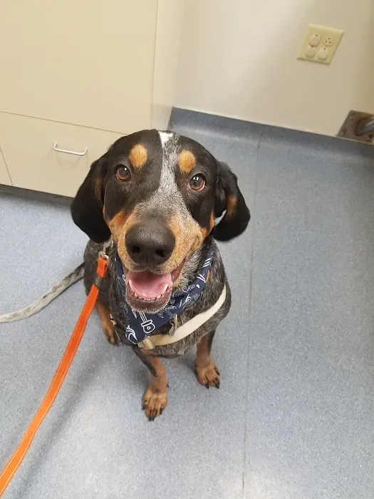 Stone Ridge Veterinary Hospital 7