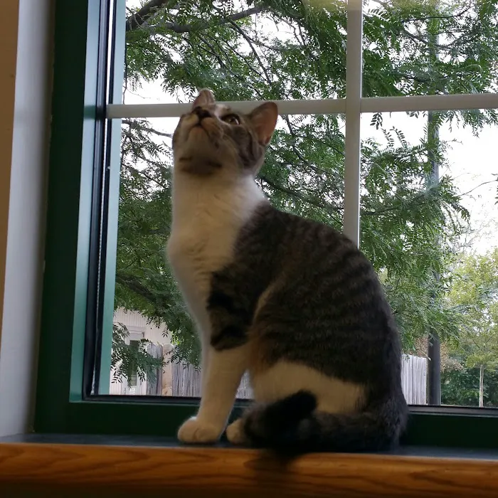 Stone Ridge Veterinary Hospital 10