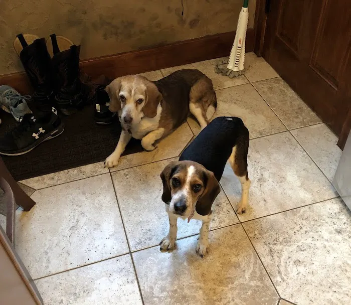 Stone Ridge Veterinary Hospital 2