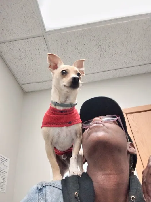 Stone Ridge Veterinary Hospital 8
