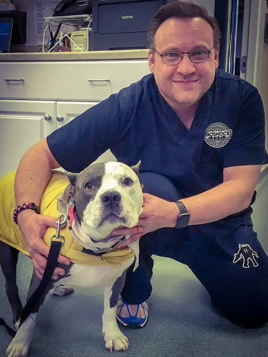 Dermatology for Animals - Rochester 6