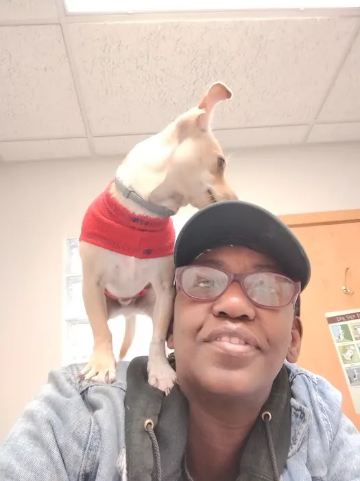 Stone Ridge Veterinary Hospital: Hubbard Susan DVM 1