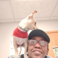 Stone Ridge Veterinary Hospital: Hubbard Susan DVM ico