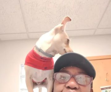 Stone Ridge Veterinary Hospital: Hubbard Susan DVM
