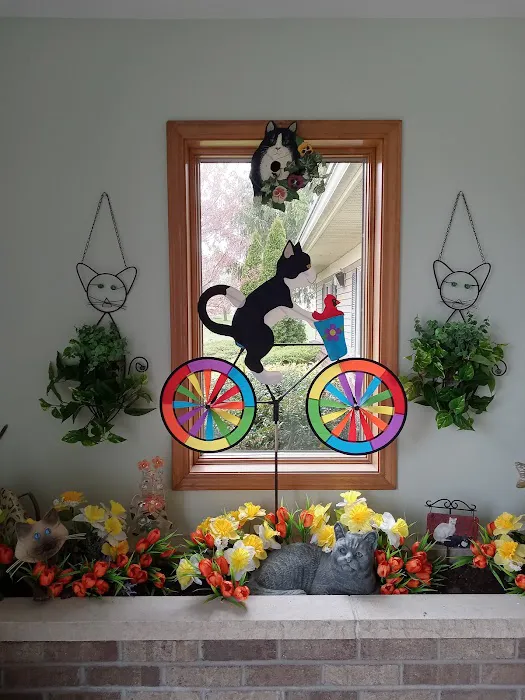 Caring For Cats 6