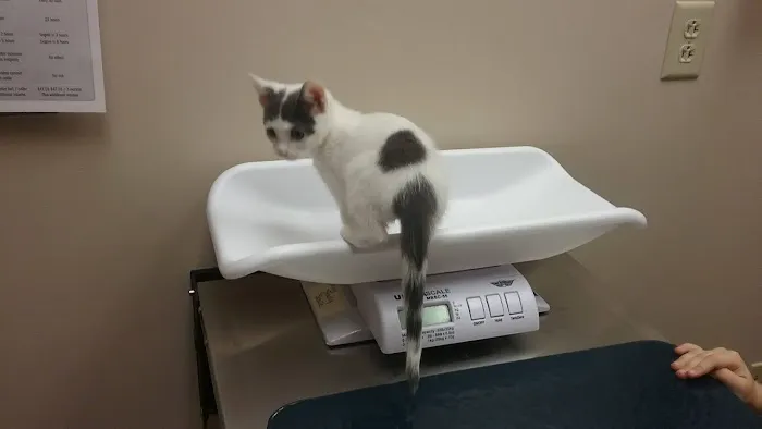 Greece Animal Hospital 1